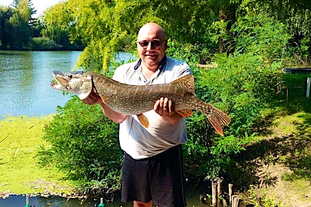 Arbo-Udulohaz-23020-23020-6