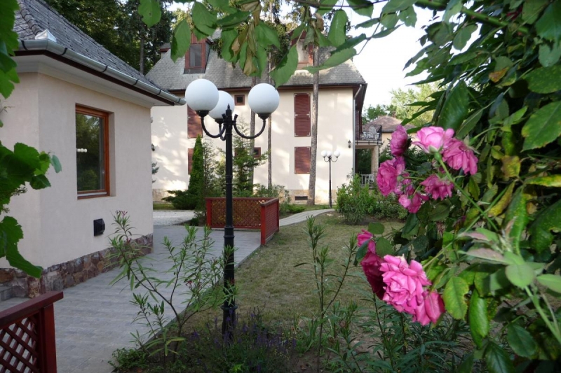 Balatonart-63941-63941-3