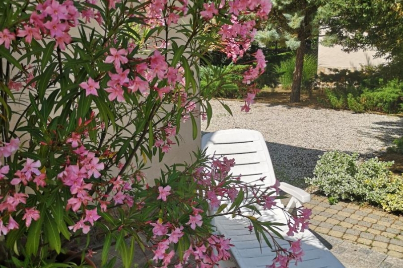 Balatonart-63941-63941-4