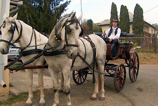 Berenyi-Lovas-Udulohaz-29635-29635-4