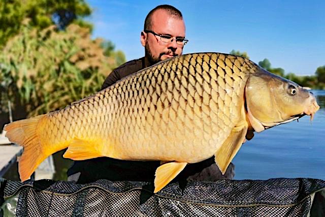 Bojlislaci-Udulohazja-24376-24376-5