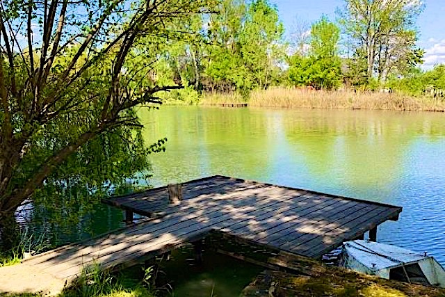 Bonom-zug-Horgasznyaralo-27206-27206-1