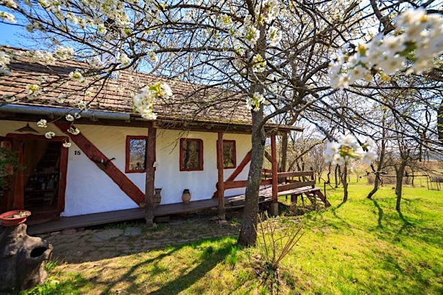 Faluszeli-Udulohaz-9523-9523-3