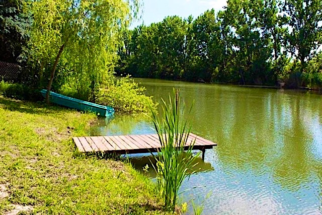 Harcsas-Udulohaz-27218-27218-1