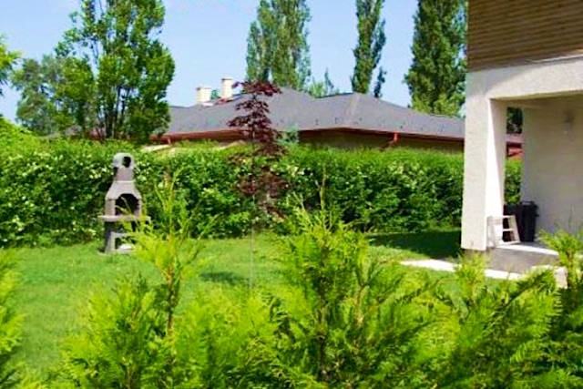 ILikeBalaton-284-22592-22592-3