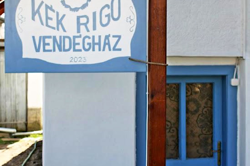 Kek-Rigo-Dezsafurdos-Udulohaz-60543-60543-4