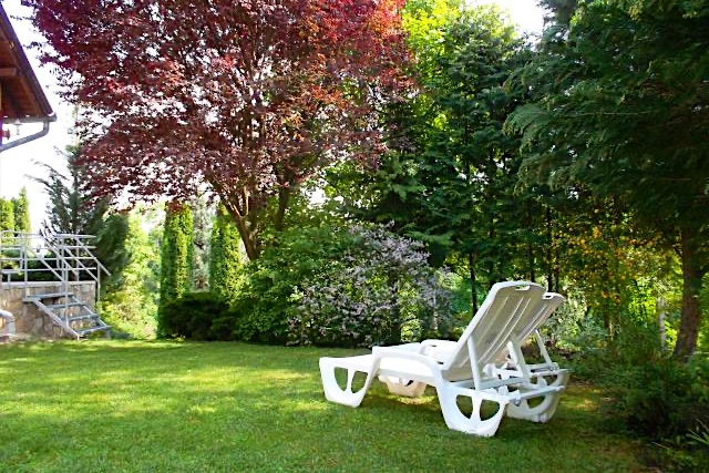 Moson-Patak-Udulohaz-25968-25968-2