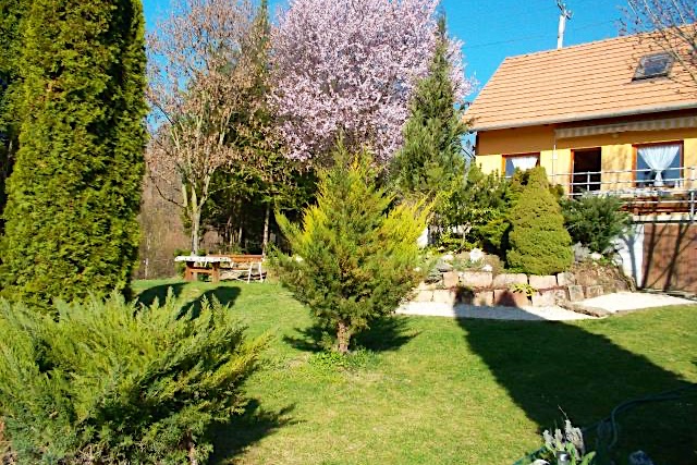 Moson-Patak-Udulohaz-25968-25968-4