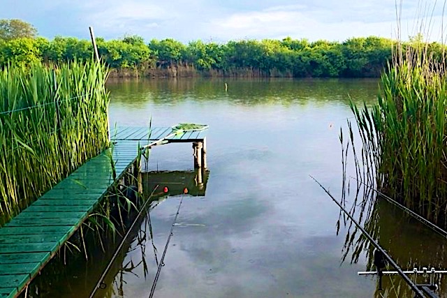 Mucha-Udulohazk-10449-10449-1