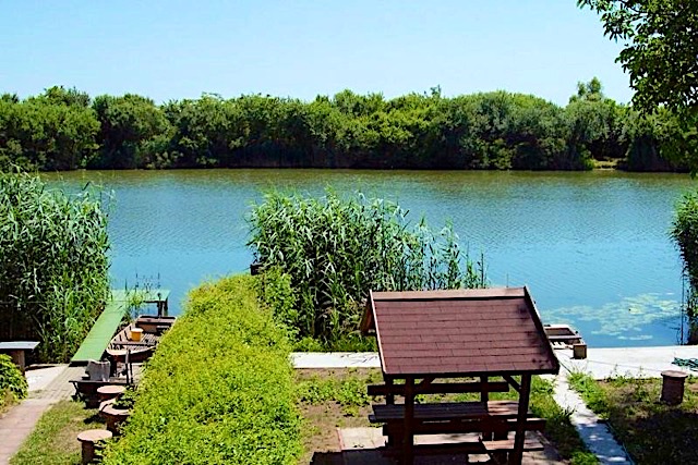 Mucha-Udulohazk-10449-10449-4