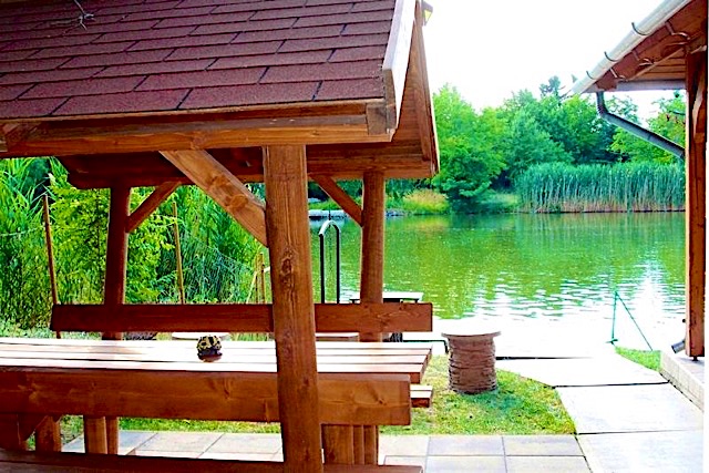 Mucha-Udulohazk-10449-10449-6