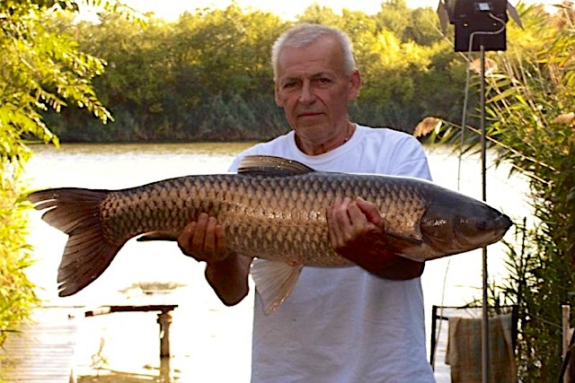 Mucha-Udulohazk-10449-10449-8