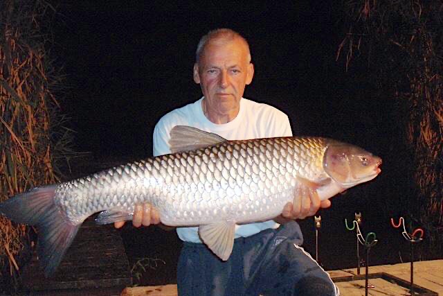 Mucha-Udulohazk-Dinnyelaposi-18166-18166-1