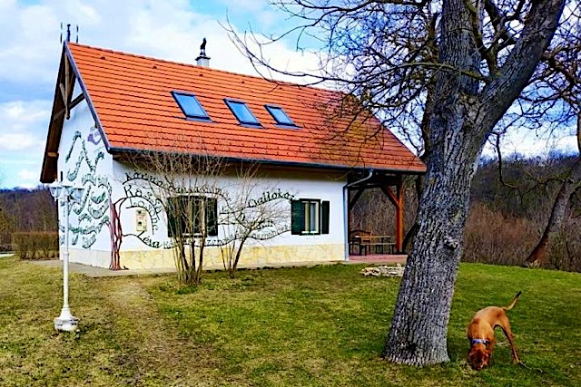 Nagy-Magyarorszag-Park-29237-29237-3