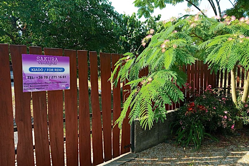 Sakura-Udulohaz-40963-40963-4