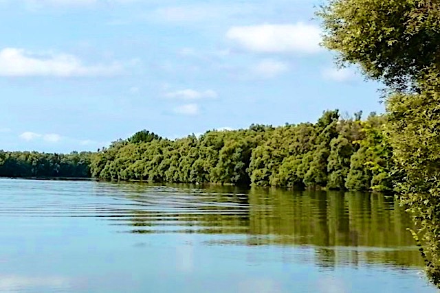 Sorella-Apartman-27756-27756-3