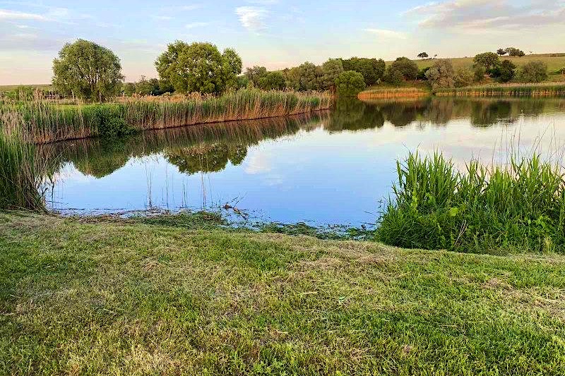 Vizivilag-Udulohaz-es-Halasto-64194-64194-1