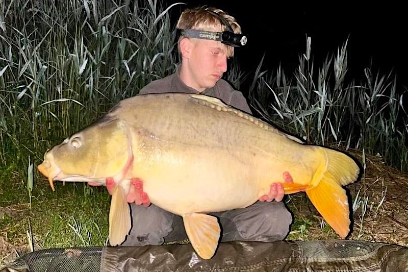 Vizivilag-Udulohaz-es-Halasto-64194-64194-4