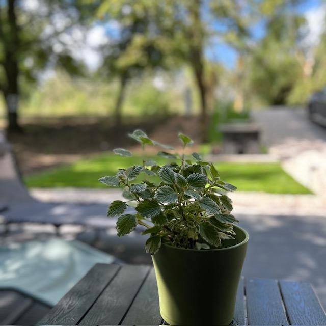Waterside-Udulohaz-79018-79018-1