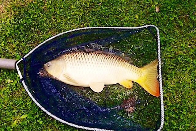 Ziza-Udulohaz-21135-21135-6